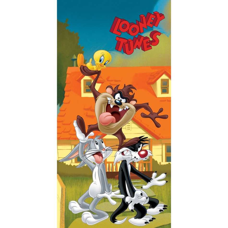 Dětská osuška Looney Tunes Tazova Show