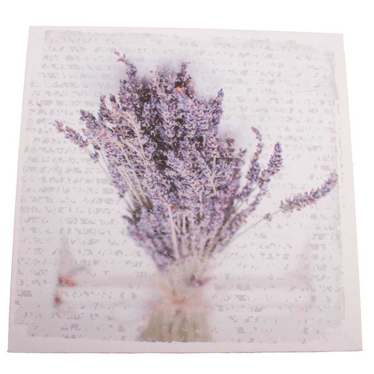 Obraz na plátně La la lavender