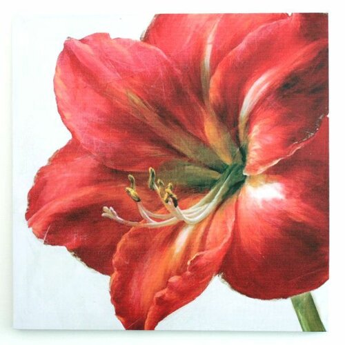 Obraz na plátně Red flower