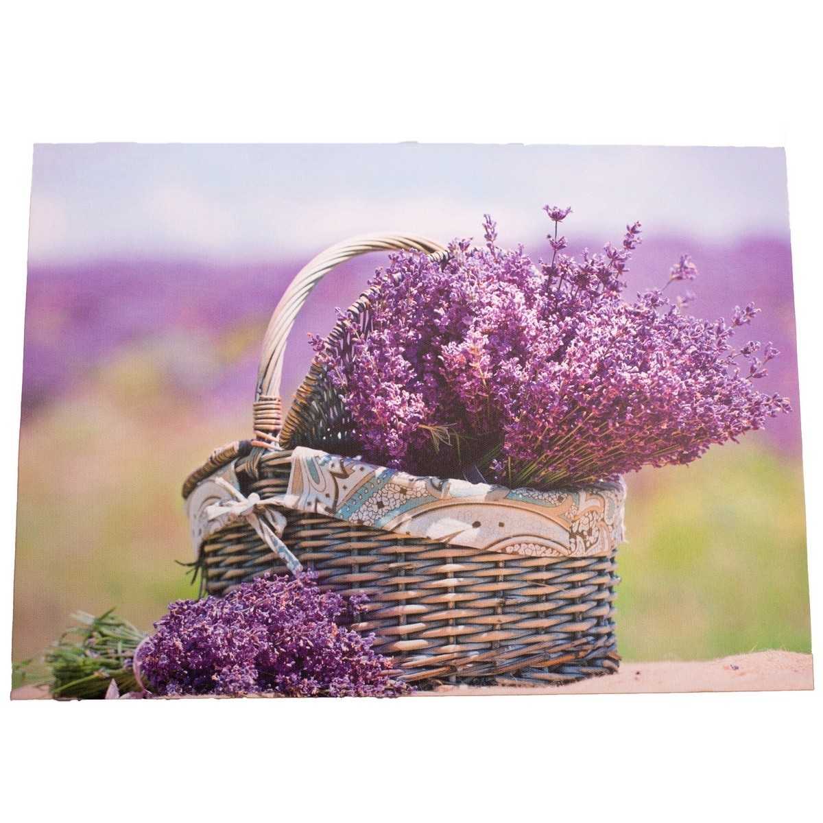 Obraz na plátně s levandulí Provence