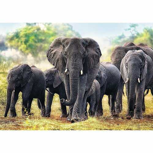 Puzzle Trefl 10442 Afričtí sloni 1000 dílků Trefl