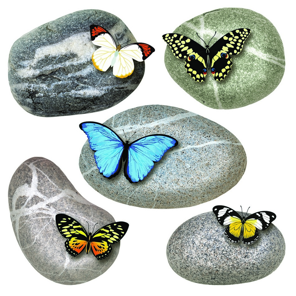 Samolepicí dekorace Butterflies on Stones