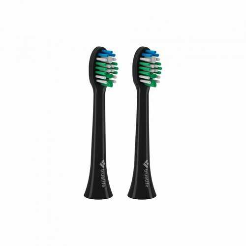 TrueLife SonicBrush Compact Standard Black Heads TrueLife