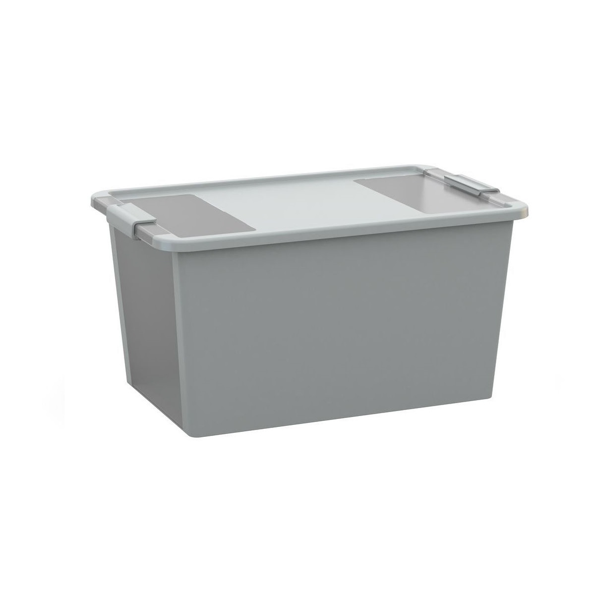 Úložný Bi box L 40 litrů kombinace průhledná šedá KIS