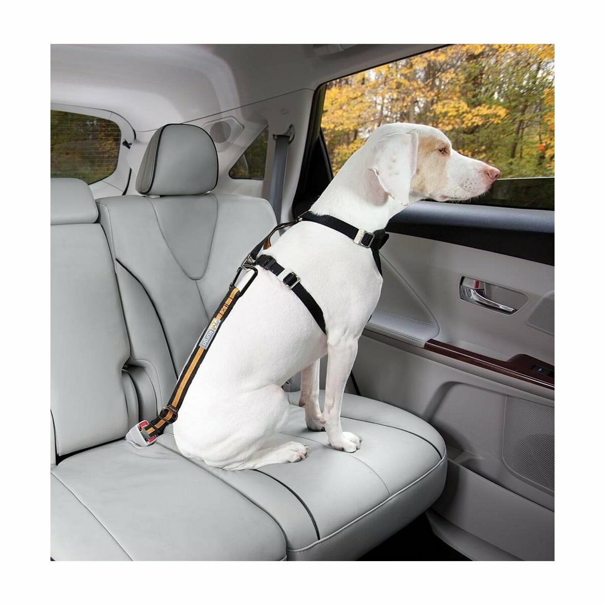 Kurgo Bezpečnostní pás pro psa do auta
