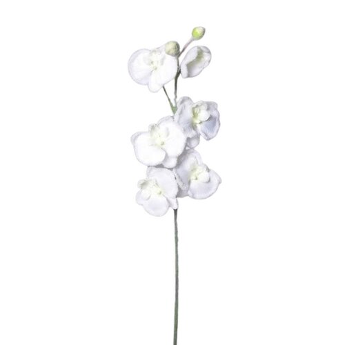 Umělá zasněžená Orchidej bílá