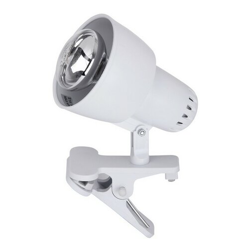Rabalux 4356 stolní lampa na klipu Clip Rabalux