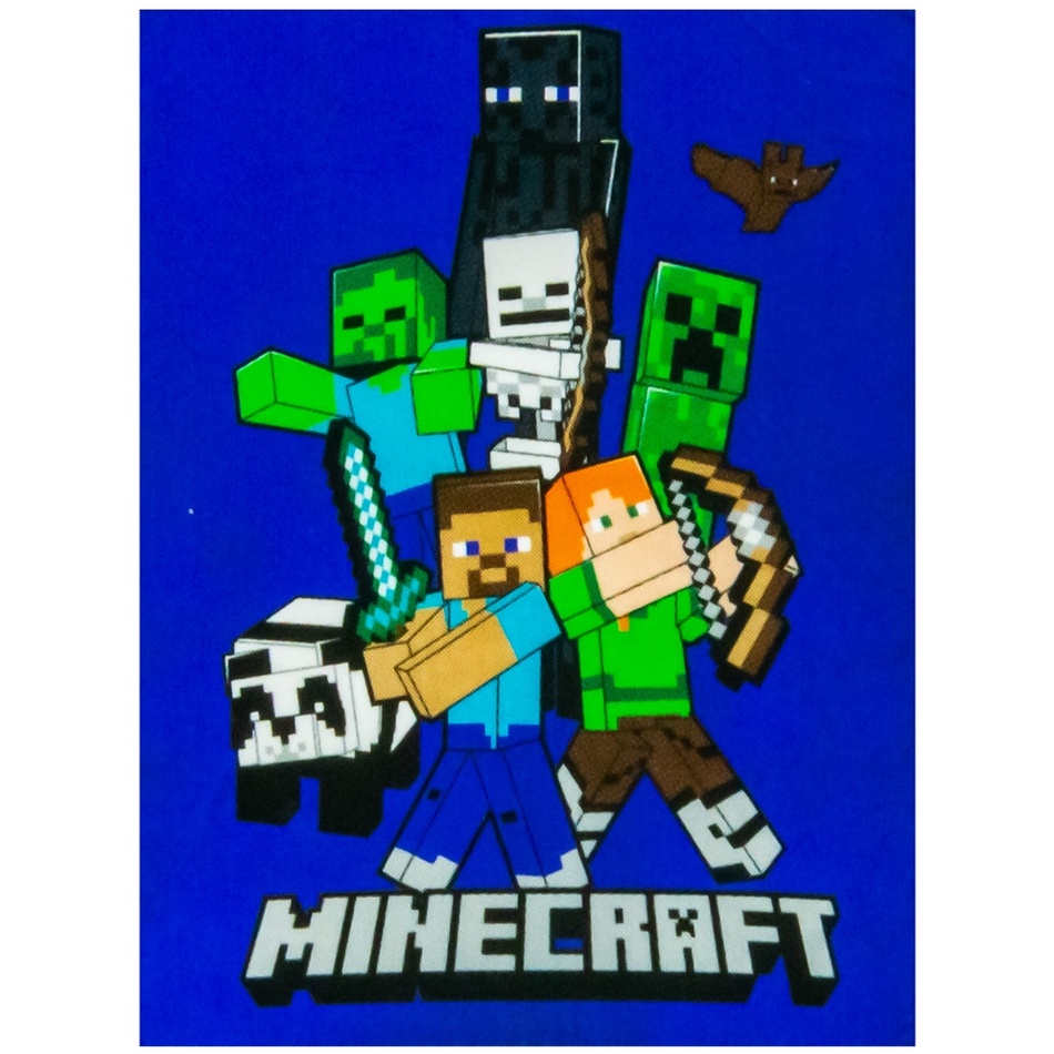 Carbotex Dětská deka Minecraft Time to Mine