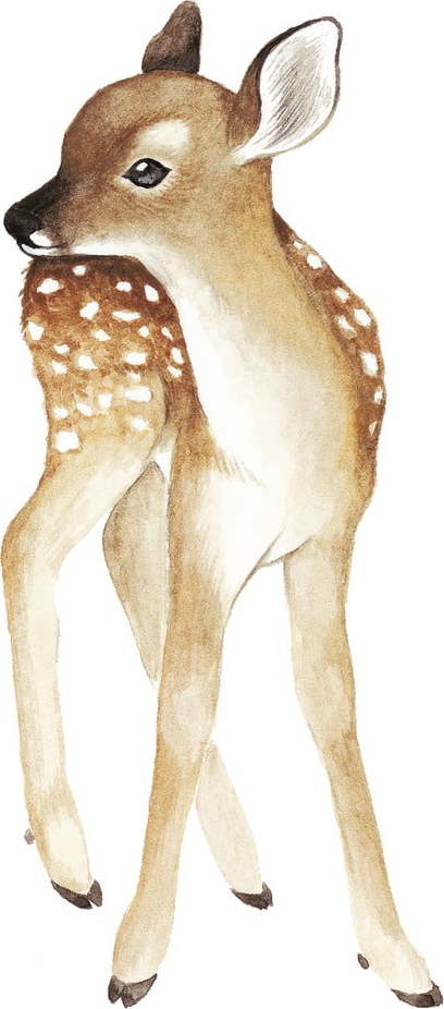 Dětská samolepka 60x26 cm Fawn – Lilipinso
