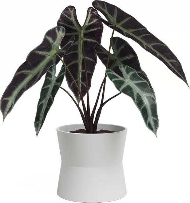 Keramický květináč ø 14 cm Diana – Artevasi