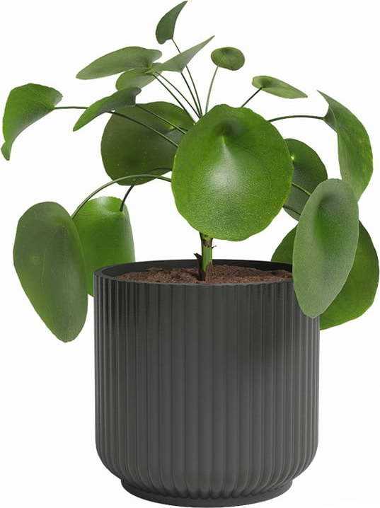 Keramický květináč ø 19 cm Luna – Artevasi
