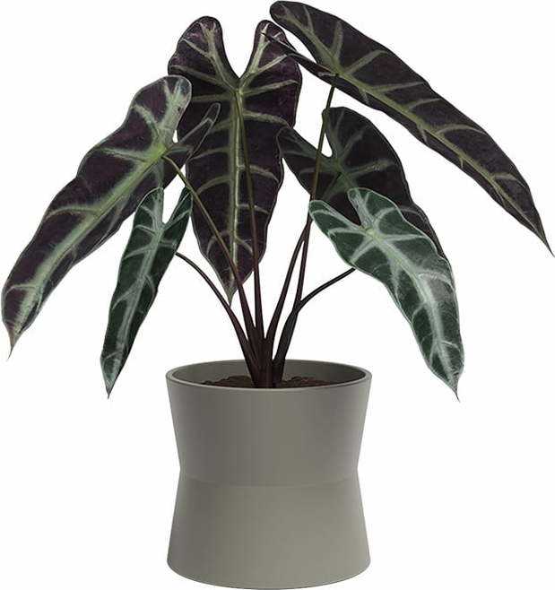 Keramický květináč ø 20 cm Diana – Artevasi