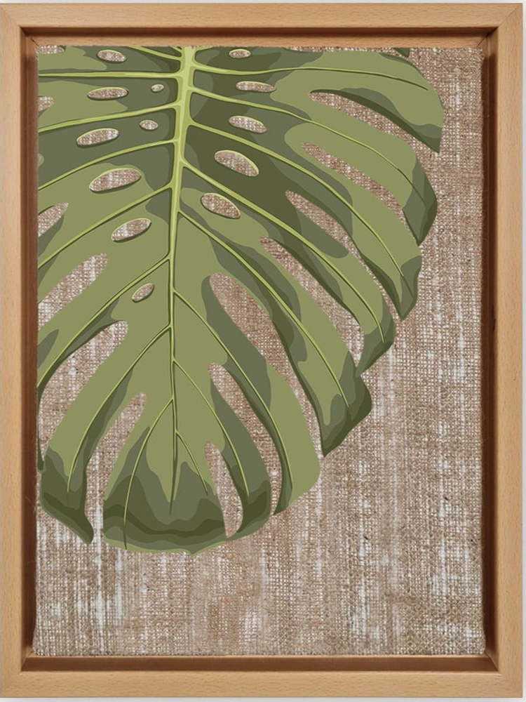Obraz 36x46 cm Monstera – Wallity