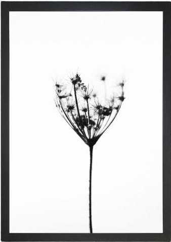 Plakát 23x28 cm Misty Splendor – Tablo Center