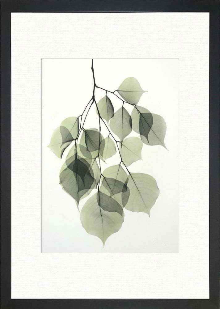 Plakát 24x29 cm Tender Leaves – Tablo Center