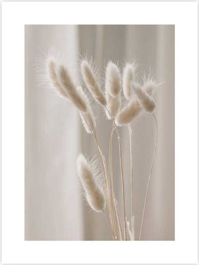 Plakát 30x40 cm Grass