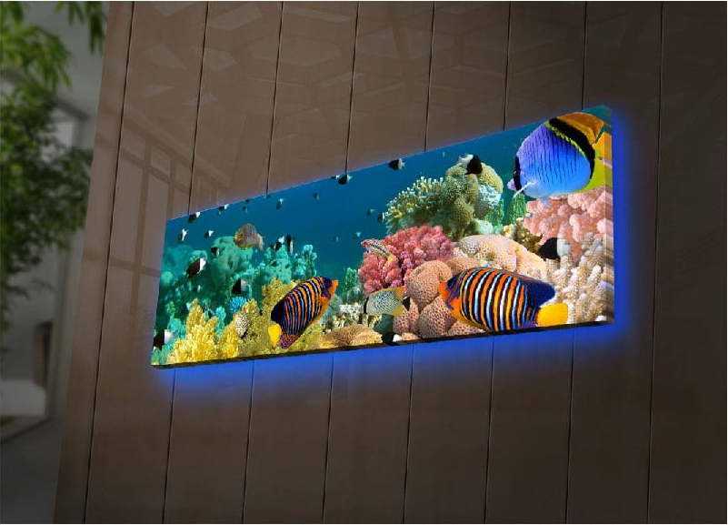 Podsvícený obraz Wallity Sea