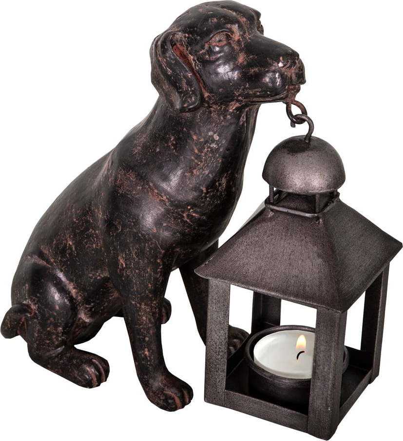 Polyresinová lucerna (výška 19 cm) Dog – Antic Line