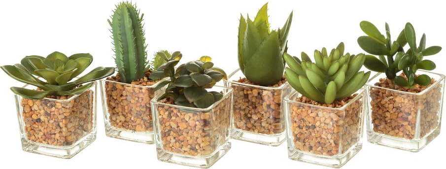 Umělé rostliny v sadě 6 ks (výška 8 cm) Cactus – Casa Selección