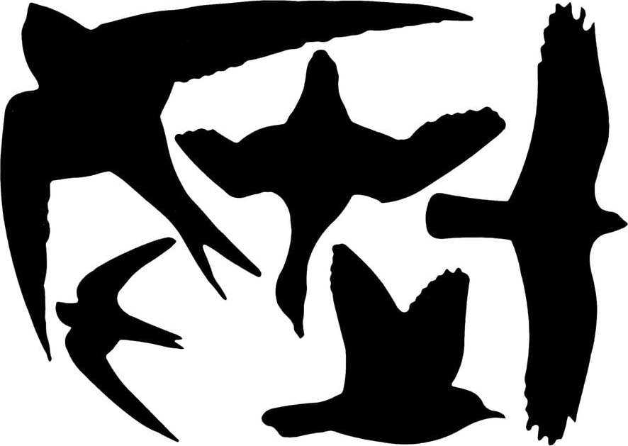Sada černých okenních samolepek Esschert Design Birds