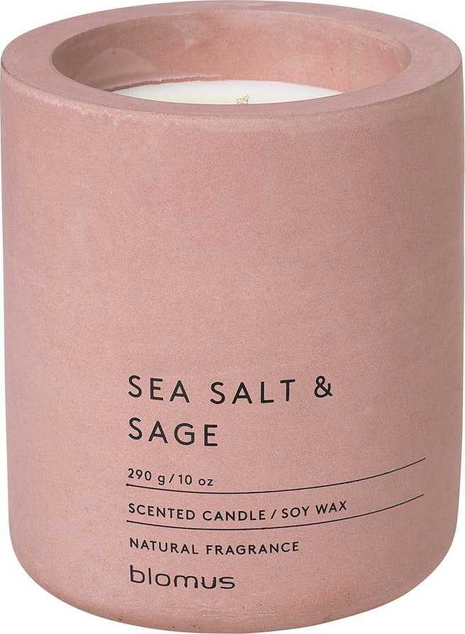Vonná sojová svíčka doba hoření 55 h Fraga: Sea Salt and Sage – Blomus