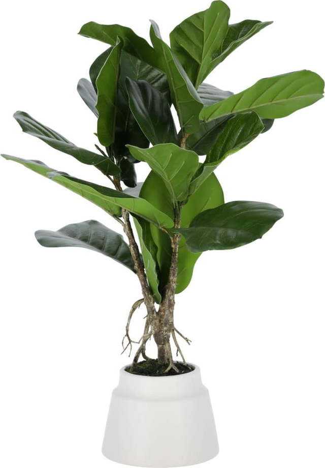 Umělý fíkus (výška 60 cm) Lyrata – Kave Home