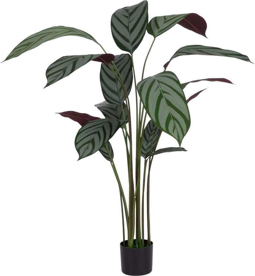 Umělá rostlina (výška 150 cm) Calathea – Ixia