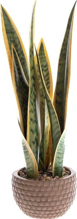 Umělá rostlina (výška 35 cm) – Dakls