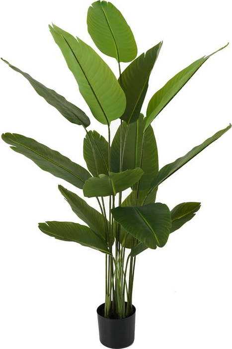 Umělá strelície (výška 150 cm) Canna – PT LIVING