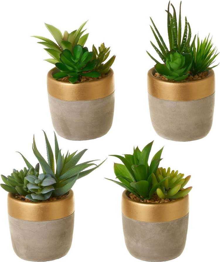 Umělé rostliny v sadě 4 ks (výška 17 cm) Cactus – Casa Selección