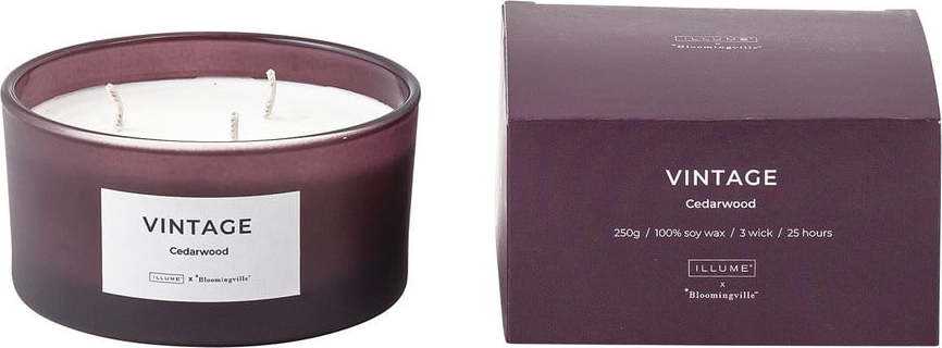 Vonná svíčka doba hoření 25 h Vintage Cedarwood – ILLUME x Bloomingville