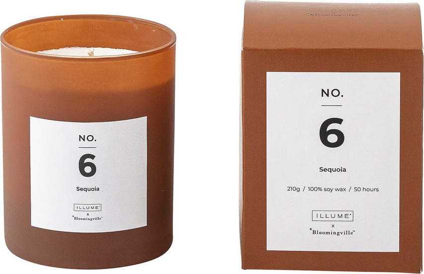 Vonná svíčka doba hoření 50 h No. 6 Sequoia – ILLUME x Bloomingville