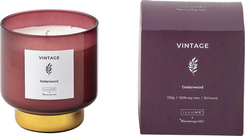 Vonná svíčka doba hoření 50 h Vintage Cedarwood – ILLUME x Bloomingville