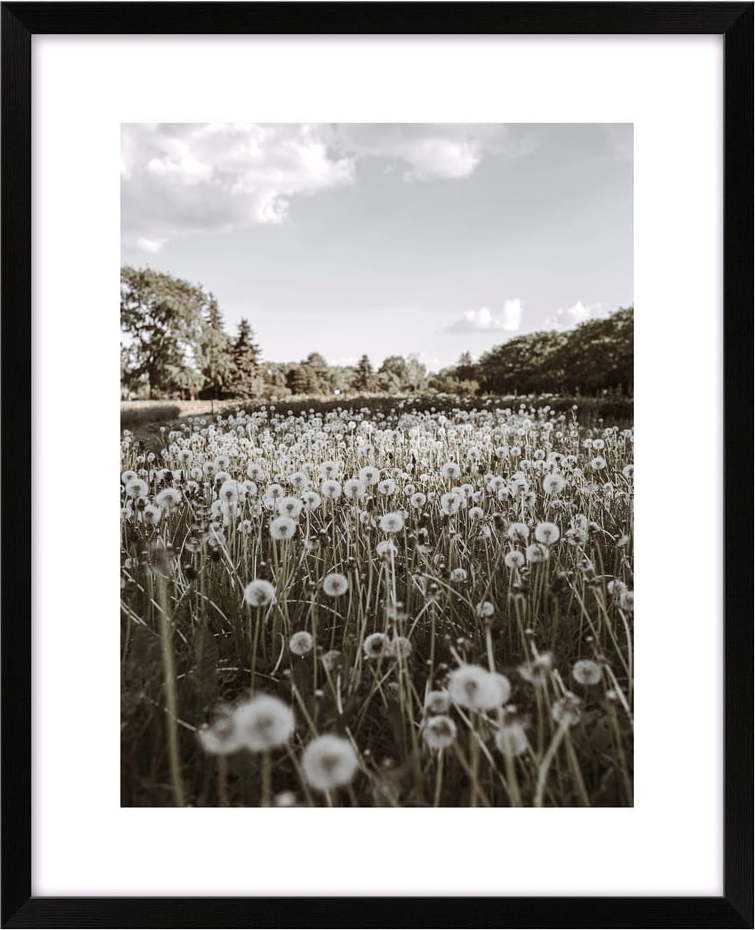 Plakát 40x50 cm Meadow