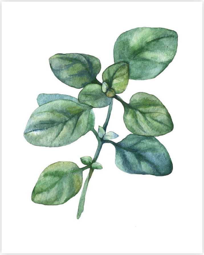 Plakát 40x50 cm