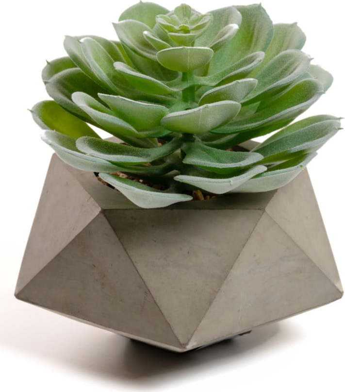 Umělá květina Echeveria Glaucha Kave Home
