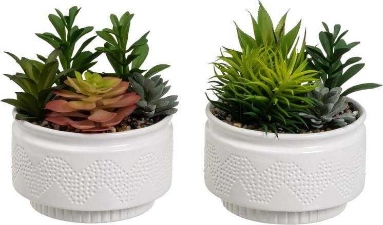 Umělé rostliny v sadě 2 ks (výška 19 cm) Cactus – Casa Selección