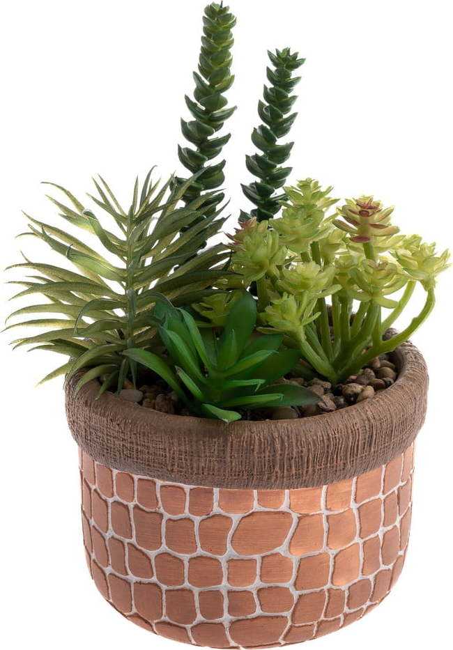 Umělý sukulent (výška 17 cm) – Dakls
