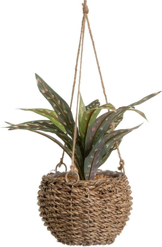 Umělá rostlina (výška 25 cm) – Casa Selección