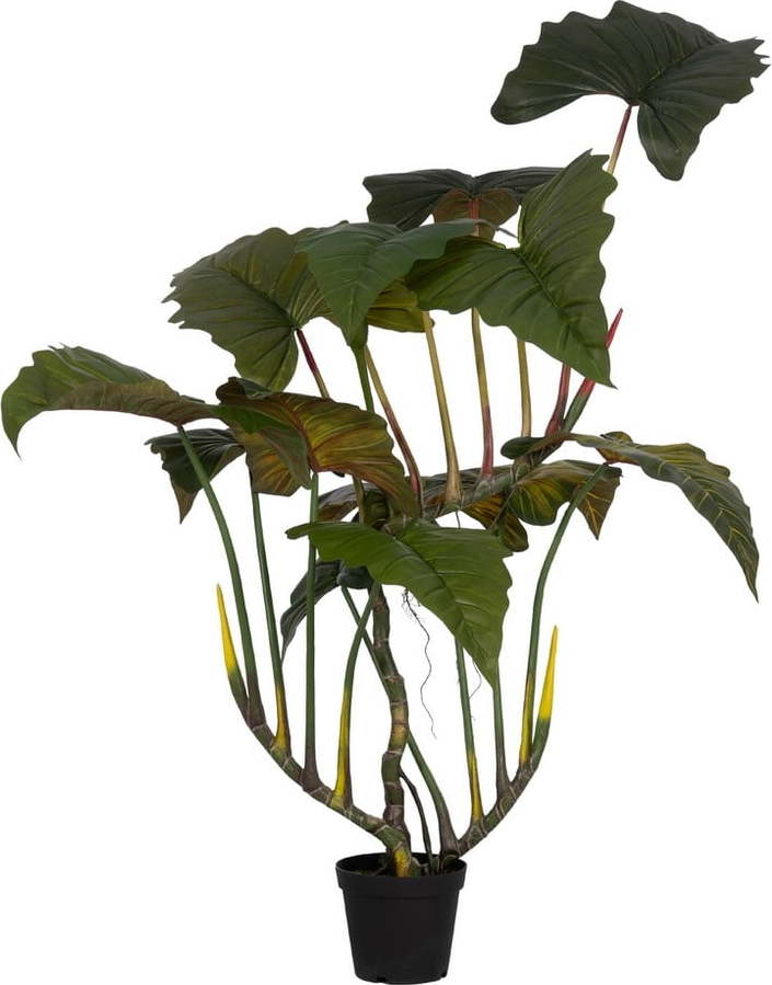 Umělá rostlina (výška 185 cm) Alocasia – Ixia
