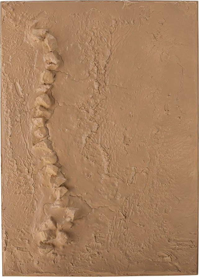 Obraz 50x70 cm Sisken – Bloomingville