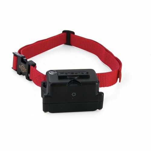 PetSafe® Extra obojek pro psy pro elektrický ohradník Super PetSafe