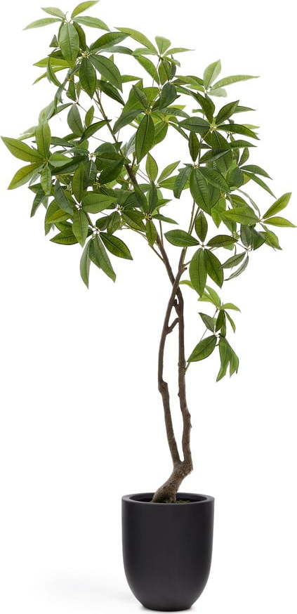 Umělá rostlina (výška 180 cm) Pachira – Kave Home