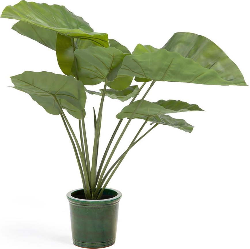 Umělá rostlina (výška 57 cm) Odora – Kave Home