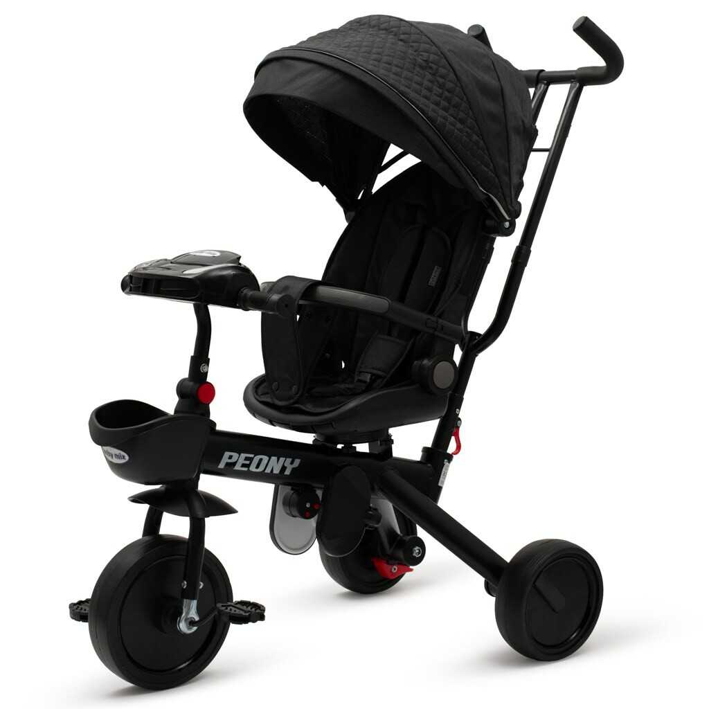 Dětská tříkolka Baby Mix Peony EVA černá Baby Mix