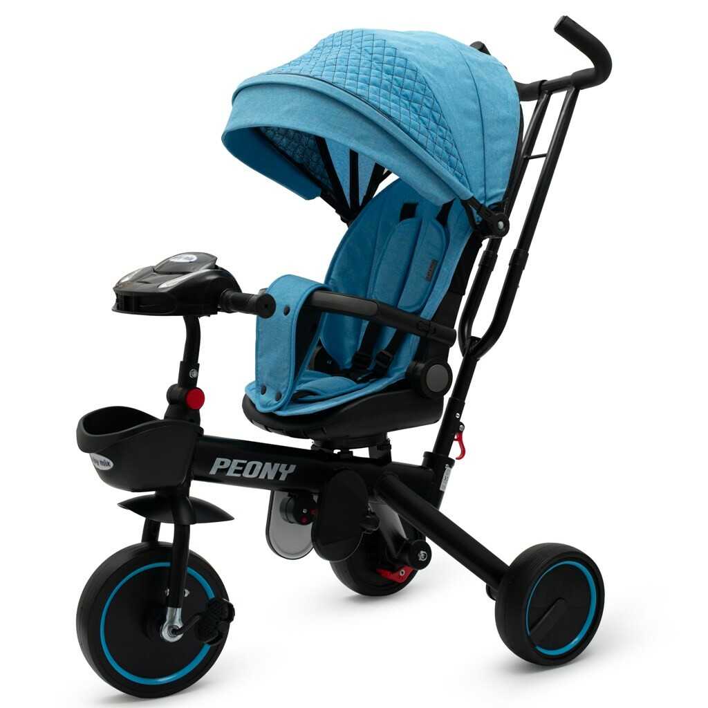 Dětská tříkolka Baby Mix Peony EVA modrá Baby Mix