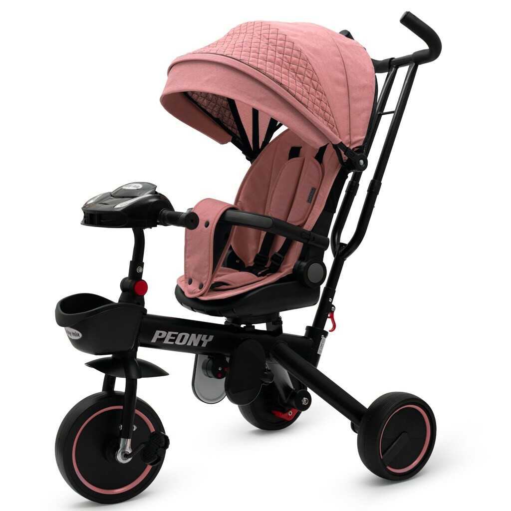 Dětská tříkolka Baby Mix Peony EVA růžová Baby Mix