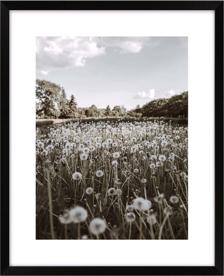 Obraz 40x50 cm Meadow – knor