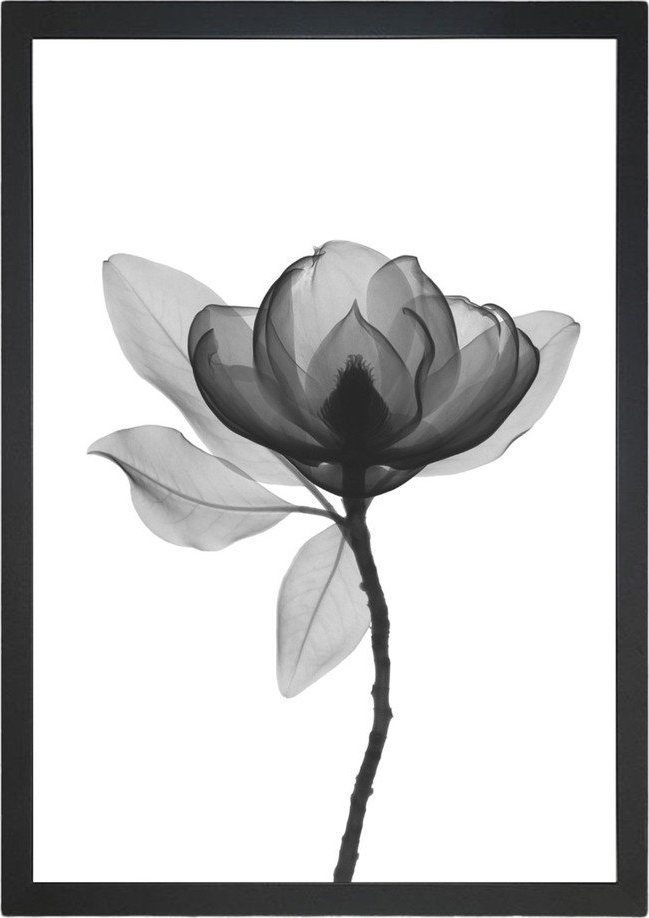 Obraz 24x29 cm Harmony Flower – Vavien Artwork