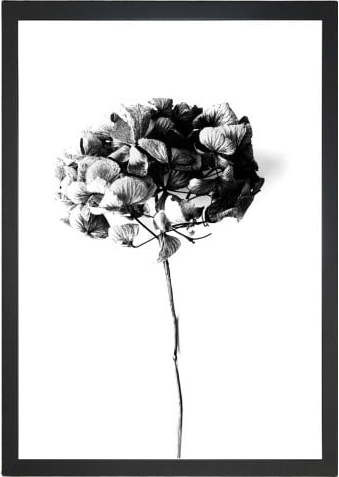 Obraz 24x29 cm Velvet Flower – Vavien Artwork